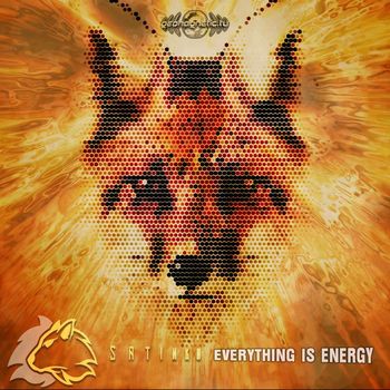 Satinka - Everything is Energy