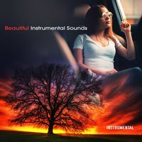 Instrumental - Beautiful Instrumental Sounds