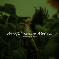 Nature Sound Collection - Peaceful Nature Motion