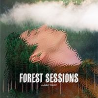 Ambient Forest - Forest Sessions