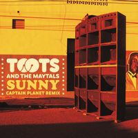 Toots & The Maytals - Sunny (Captain Planet Remix)
