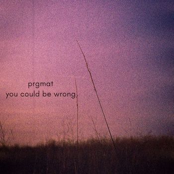 PRGMAT - You Could Be Wrong