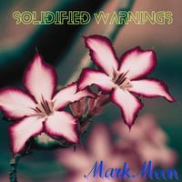 Mark Moon - Solidified Warnings