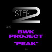 BWK Project - Peak