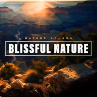 Nature Sounds - Blissful Nature