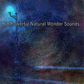 Forest Sounds - 38 Powerful Natural Wonder Sounds