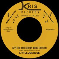 Little Joe Blue - Give Me An Hour In Your Garden