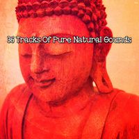 Yoga Tribe - 36 Tracks Of Pure Natural Sounds