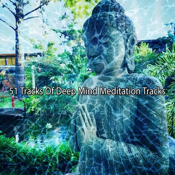 White Noise Research - 51 Tracks Of Deep Mind Meditation Tracks