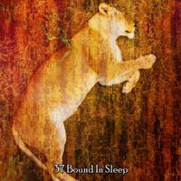 Baby Sweet Dream - 37 Bound In Sleep