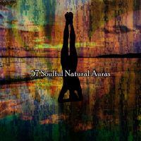 Meditation Spa - 57 Soulful Natural Auras