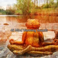 Japanese Relaxation and Meditation - 45 Mind Warming Sounds