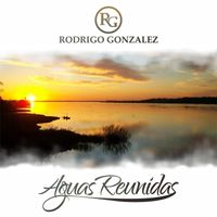 Rodrigo Gonzalez - Aguas Reunidas
