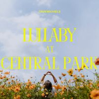 Teun Michiels - Lullaby at Central Park