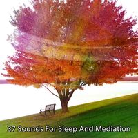 Deep Sleep Meditation - 37 Sounds For Sleep And Mediation
