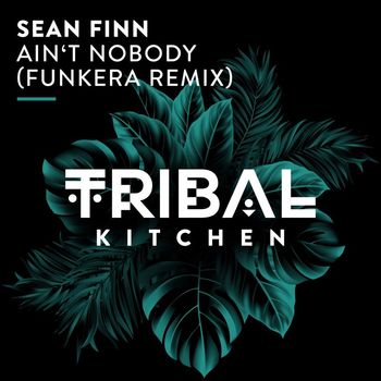 Sean Finn - Ain't Nobody (Funkera Extended Remix)