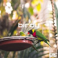 Lemon Peel - Birdy