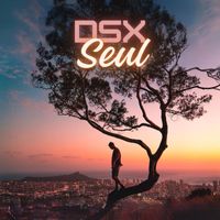 DSX - Seul