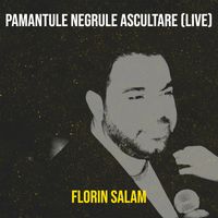 Florin Salam - Pamantule Negrule Ascultare (Live)