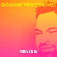 Florin Salam - Doamne Prietenii Mei
