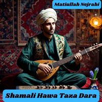Matiullah Nejrabi - Shamali Hawa Taza Dara