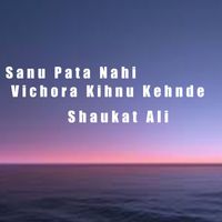 Shaukat Ali - Sanu Pata Nahi Vichora Kihnu Kehnde