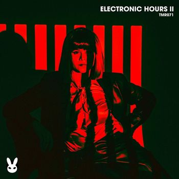 Various Artists - Electronic Hours II
