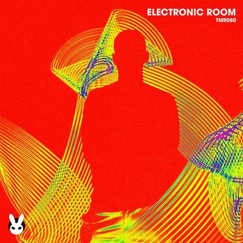Various Artists - Electronic Room