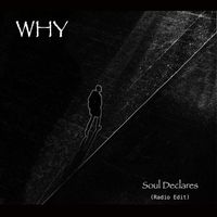 WHY - Soul Declares (Radio Edit)