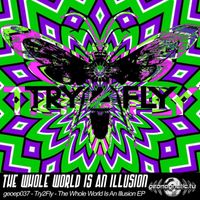 Try2fly - The Whole World Is An Illusion