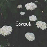 Mava - Sprout