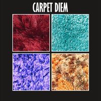 Shag - Carpet Diem