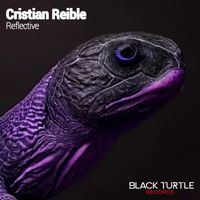 Cristian Reible - Reflective