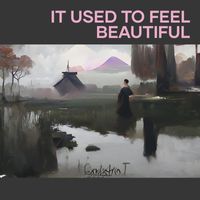 Dominic - It Used to Feel Beautiful