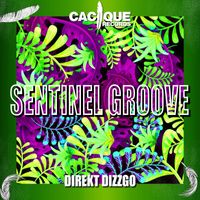 Sentinel Groove - Direkt Dizzgo