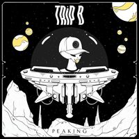 Trip B - PEAKING