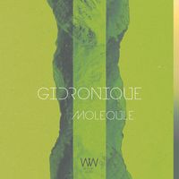 Gidronique - Molequle