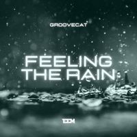 Groovecat - Feeling the Rain