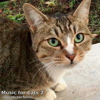 Jean-Michel Serres - Music for Cats 2
