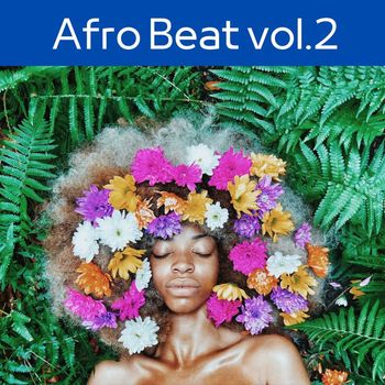 Various Artists - Afro Beat, Vol.2