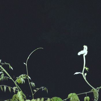 Fla.Mingo - Fff