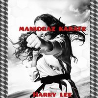 Harry Lee - MaNiggaz Karate (Explicit)