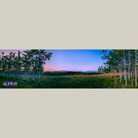 ASKO - nisis