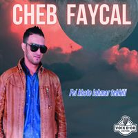 Cheb Faycal - Fel khate lahmar tebkili