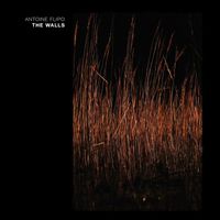 Antoine Flipo - The Walls