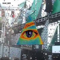 RAW_BEE - Shifting Konditions