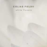 Colias Fieldii - White Flowers
