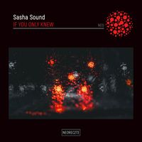 Sasha Sound - If You Only Knew