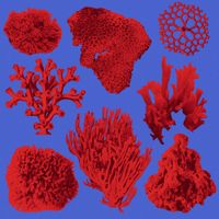 James Curd - Feeling Mumbled