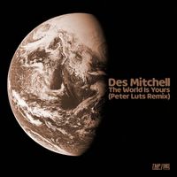 Des Mitchell - The World Is Yours (Peter Luts Remix)